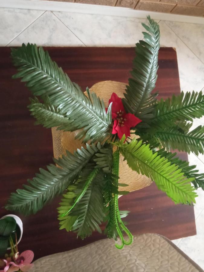 B&B Cleopatra 斯卡莱阿 外观 照片